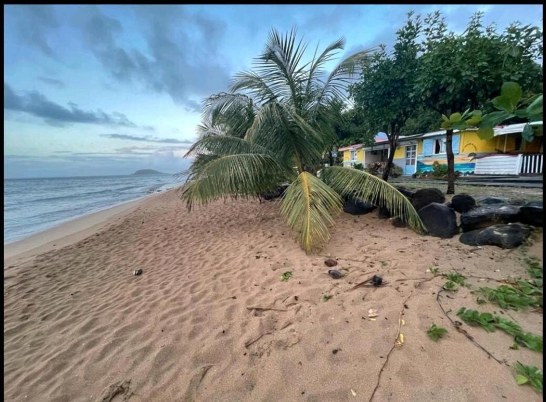 Au Coucher Du Soleil Deshaies Ngoại thất bức ảnh